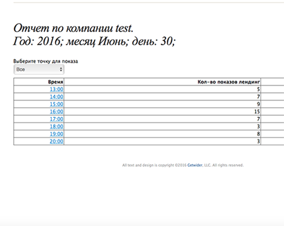 Отчет по компании